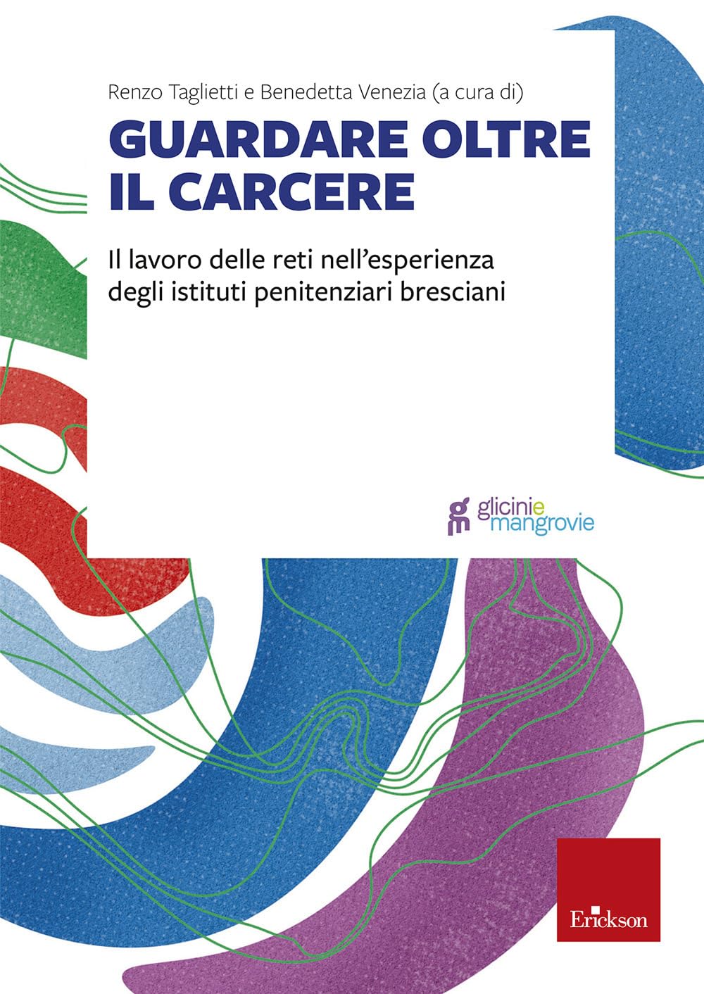 Guardare oltre il carcere. Il lavoro delle reti nell’esperienza degli istituti penitenziari bresciani book