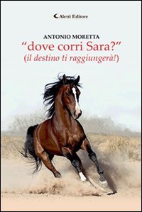 «Dove corri Sara?» (il destino ti raggiungerà!) book