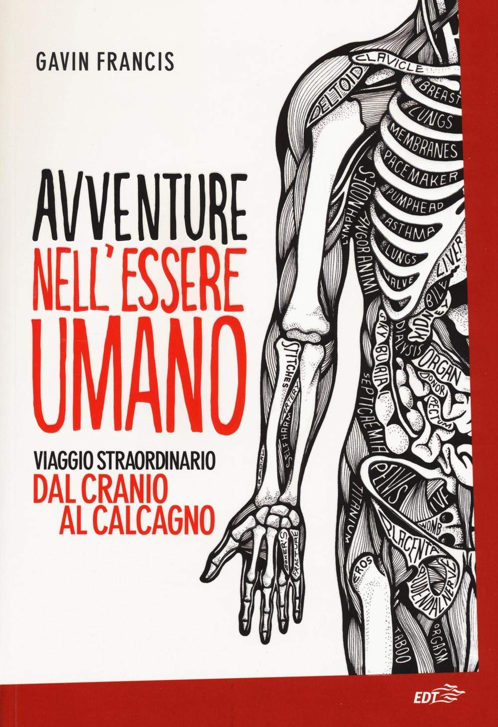 Avventure nell'essere umano. Viaggio straordinario dal cranio al calcagno Medicine