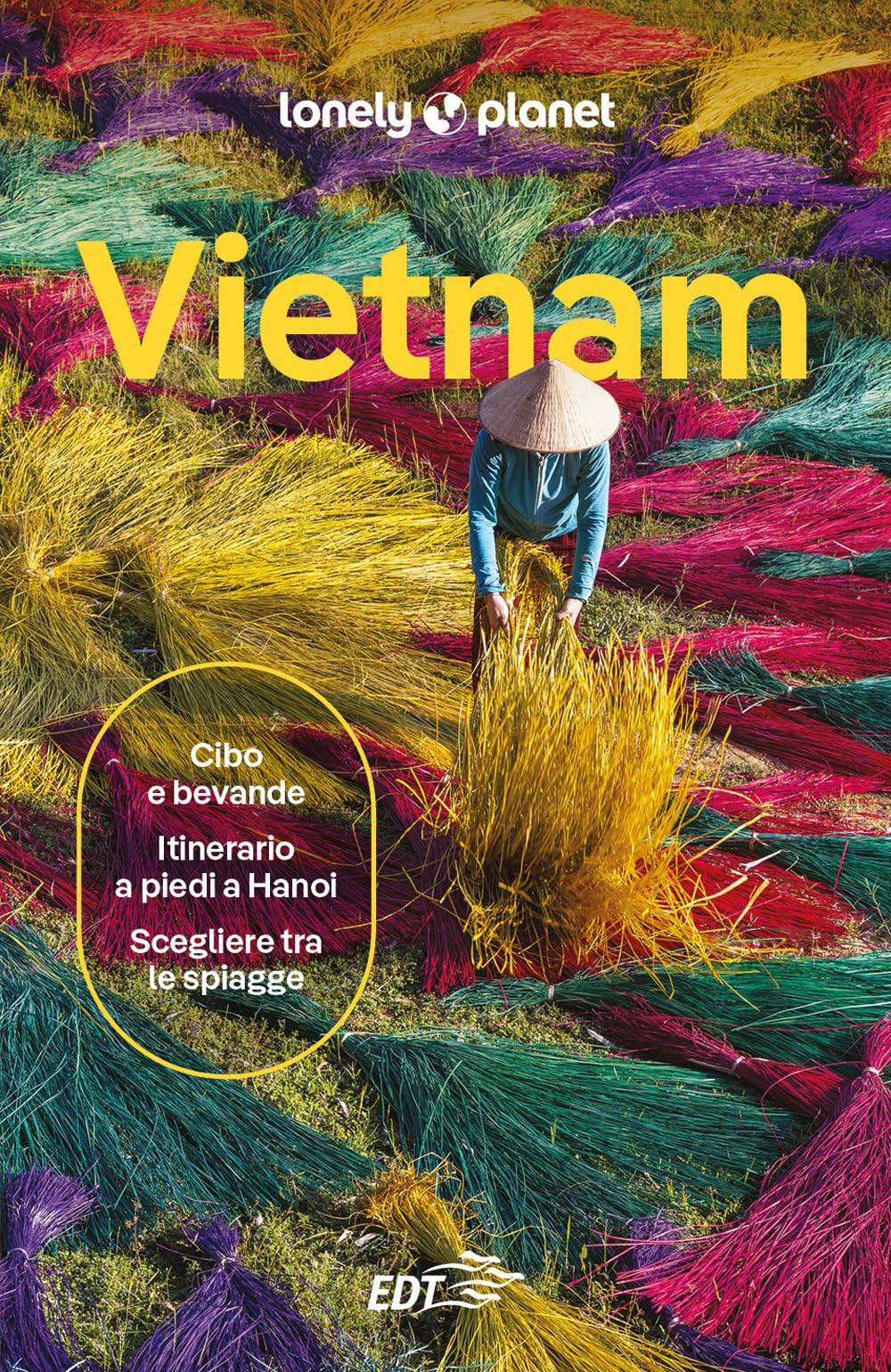 Vietnam (Guide paese EDT/Lonely Planet) Leisure, Home & Garden