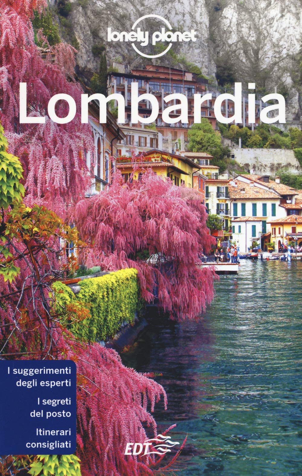 Lombardia. Con carta (Guide regionali EDT/Lonely Planet) Leisure, Home & Garden