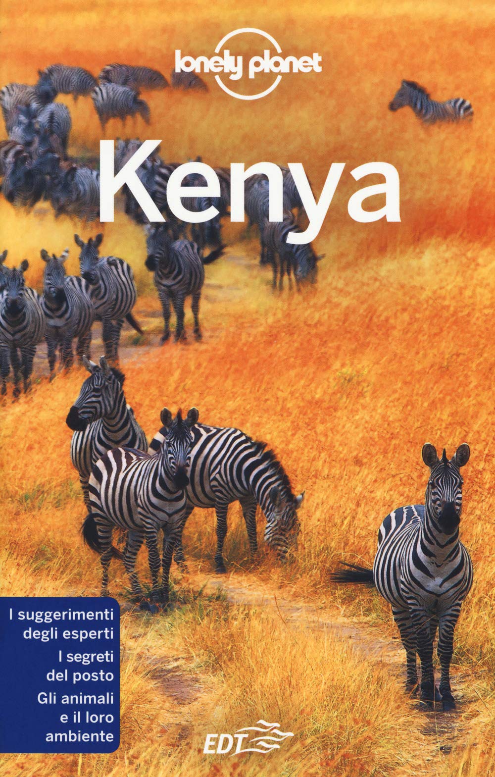 Product Image: Kenya (Guide EDT/Lonely Planet)