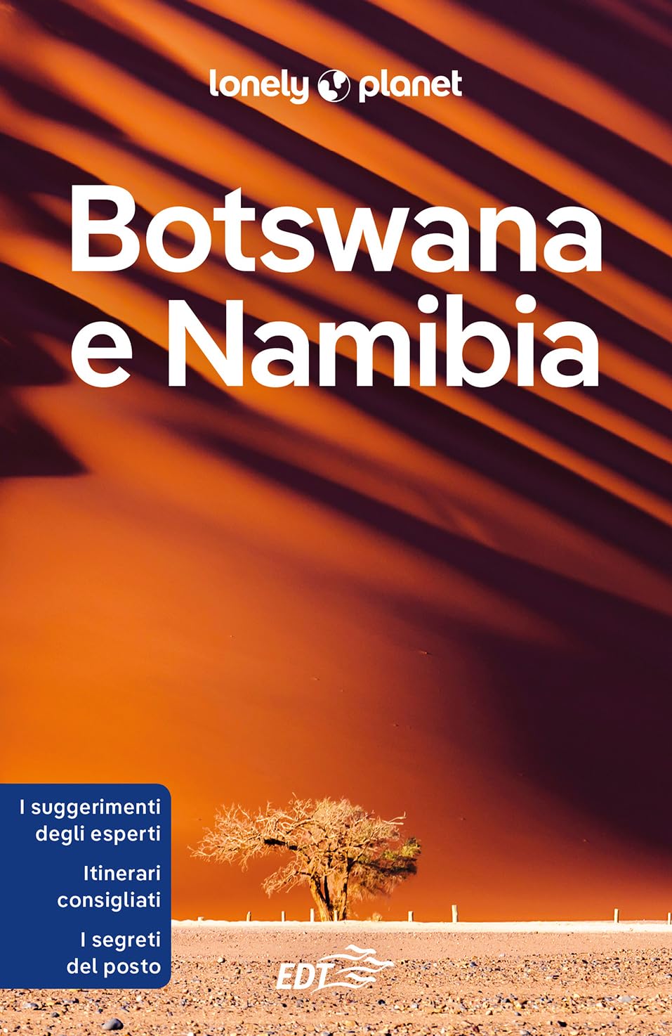 Botswana e Namibia (Guide paese EDT/Lonely Planet) Leisure, Home & Garden