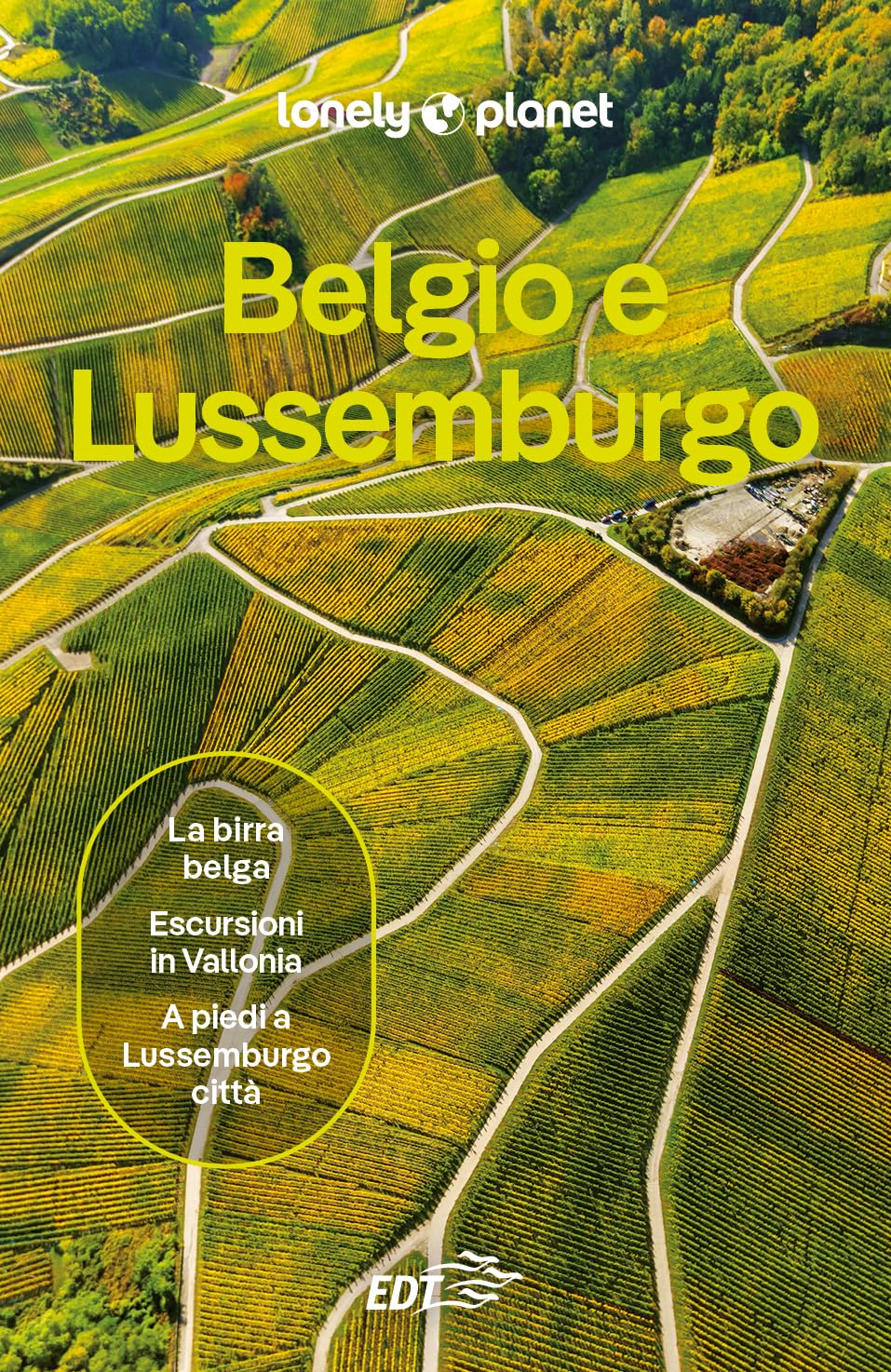 Belgio e Lussemburgo (Guide paese EDT/Lonely Planet) Leisure, Home & Garden