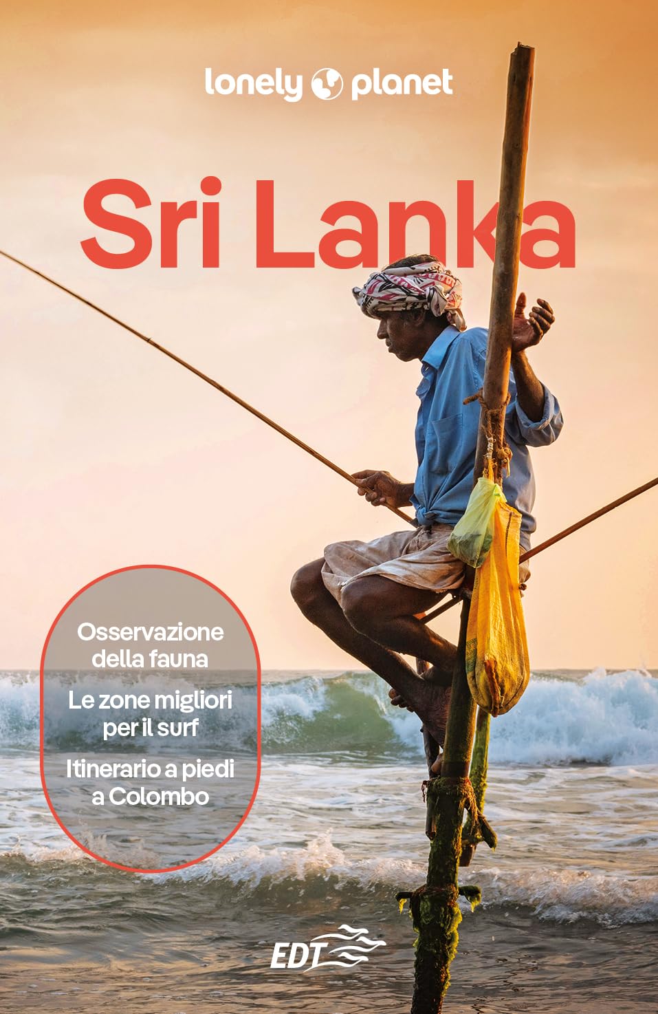 Sri Lanka (Guide paese EDT/Lonely Planet) Leisure, Home & Garden