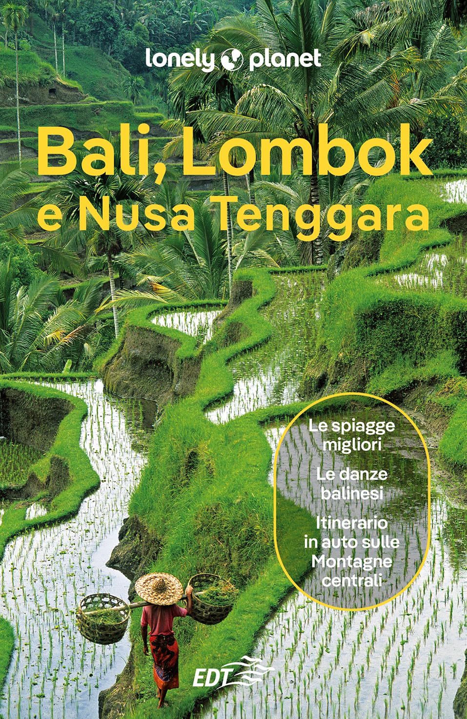 Bali, Lombok e Nusa Tenggara book