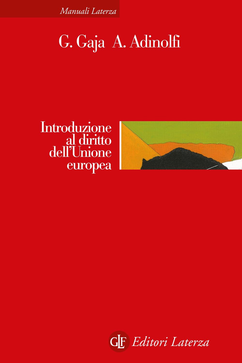 Introduzione al diritto dell'Unione europea. Nuova ediz. book