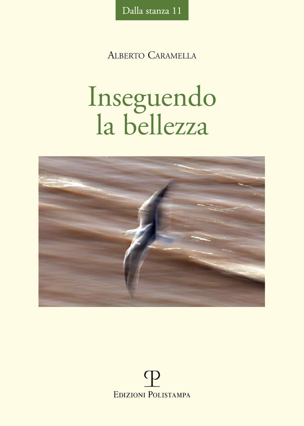 Inseguendo la bellezza (Dalla stanza) Poetry