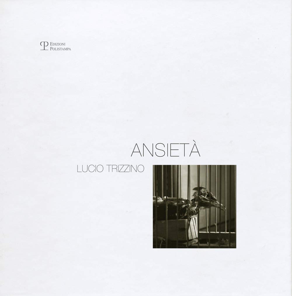 Ansietà. Ediz. illustrata (Polyphemus. Biblioteca fotogr. contempor.) Travel