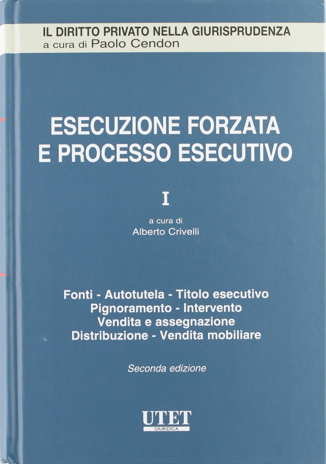 Esecuzione forzata e processo esecutivo (Il diritto privato nella giurisprudenza) Law