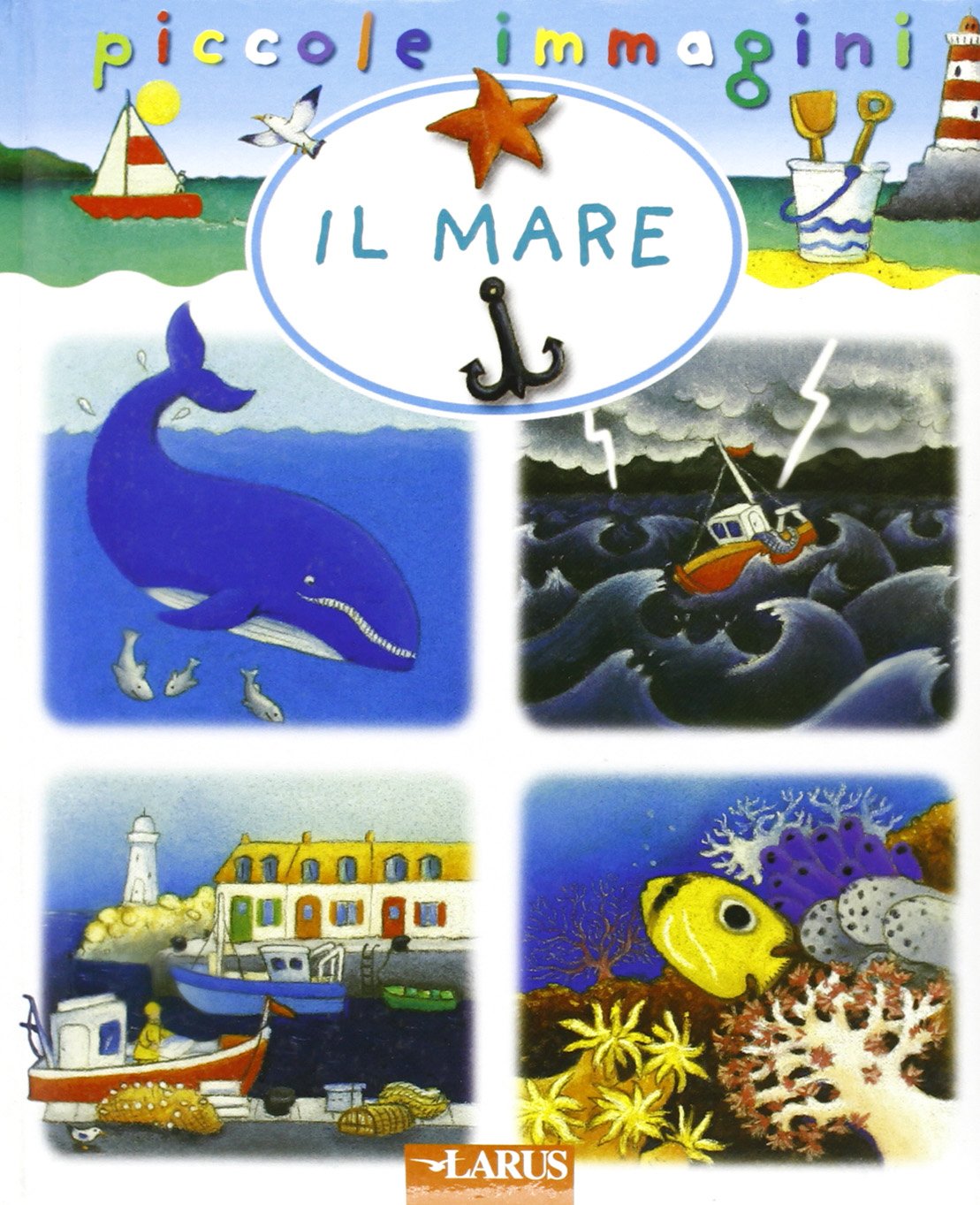 Il mare (Piccole immagini) Non-fiction books for kids