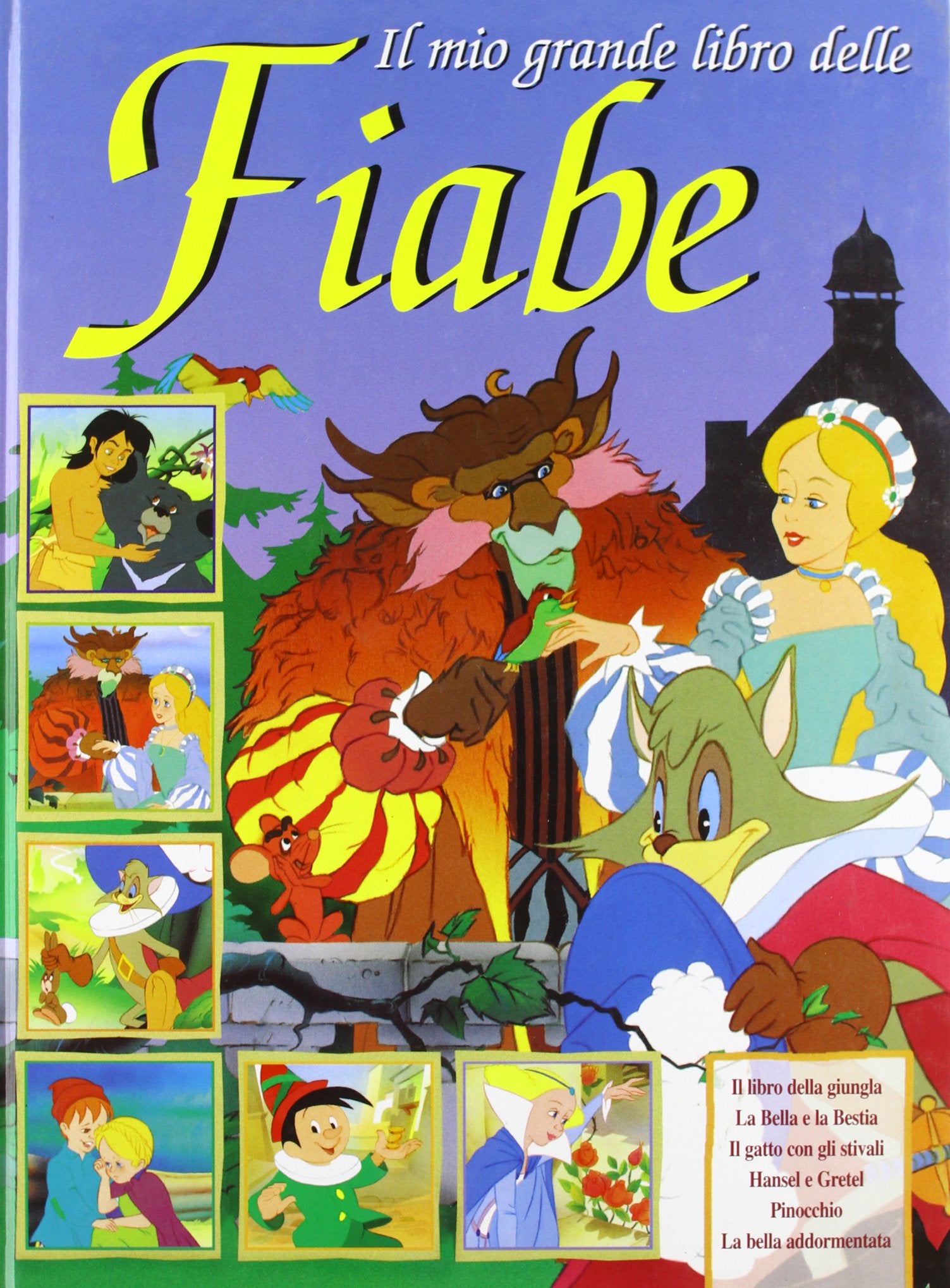 Il mio grande libro delle fiabe book