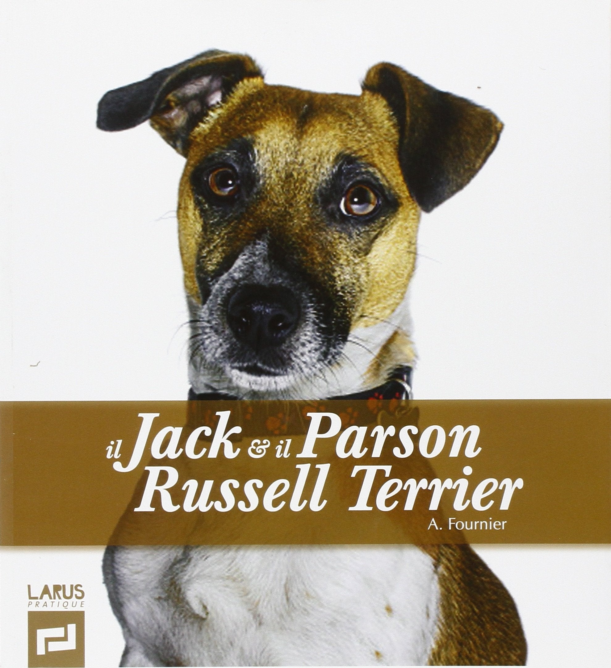 Il Jack & il Parson Russel Terrier. Ediz. illustrata book
