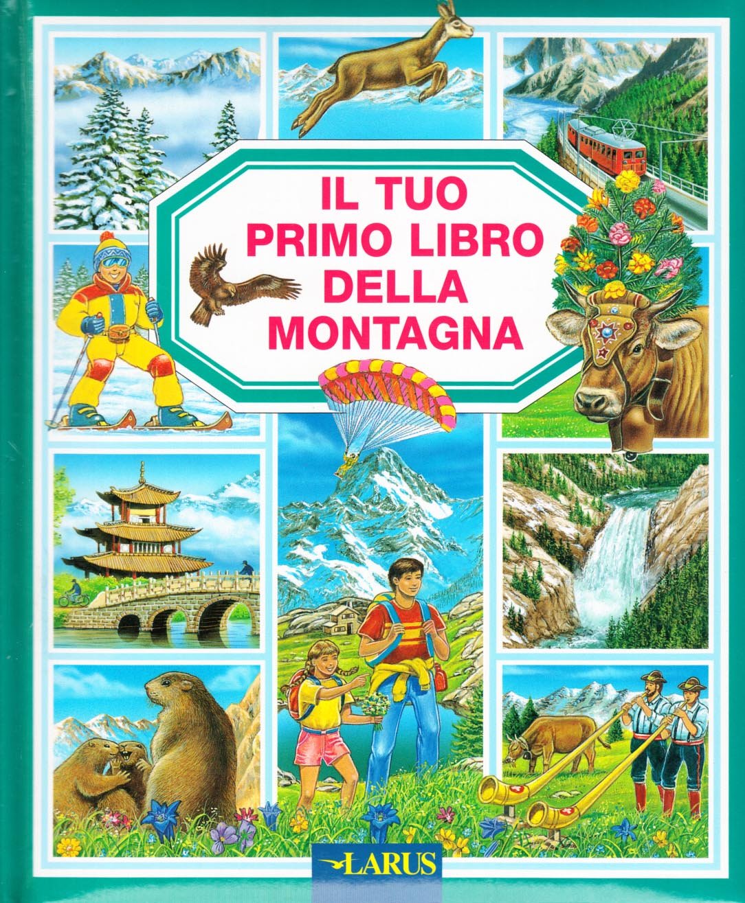 Il tuo primo libro della montagna. Ediz. illustrata book