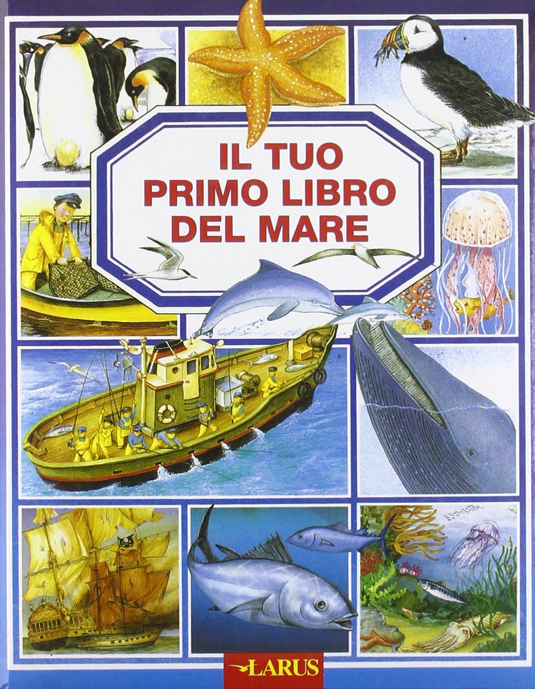 Il tuo primo libro del mare. Ediz. illustrata Non-fiction books for kids