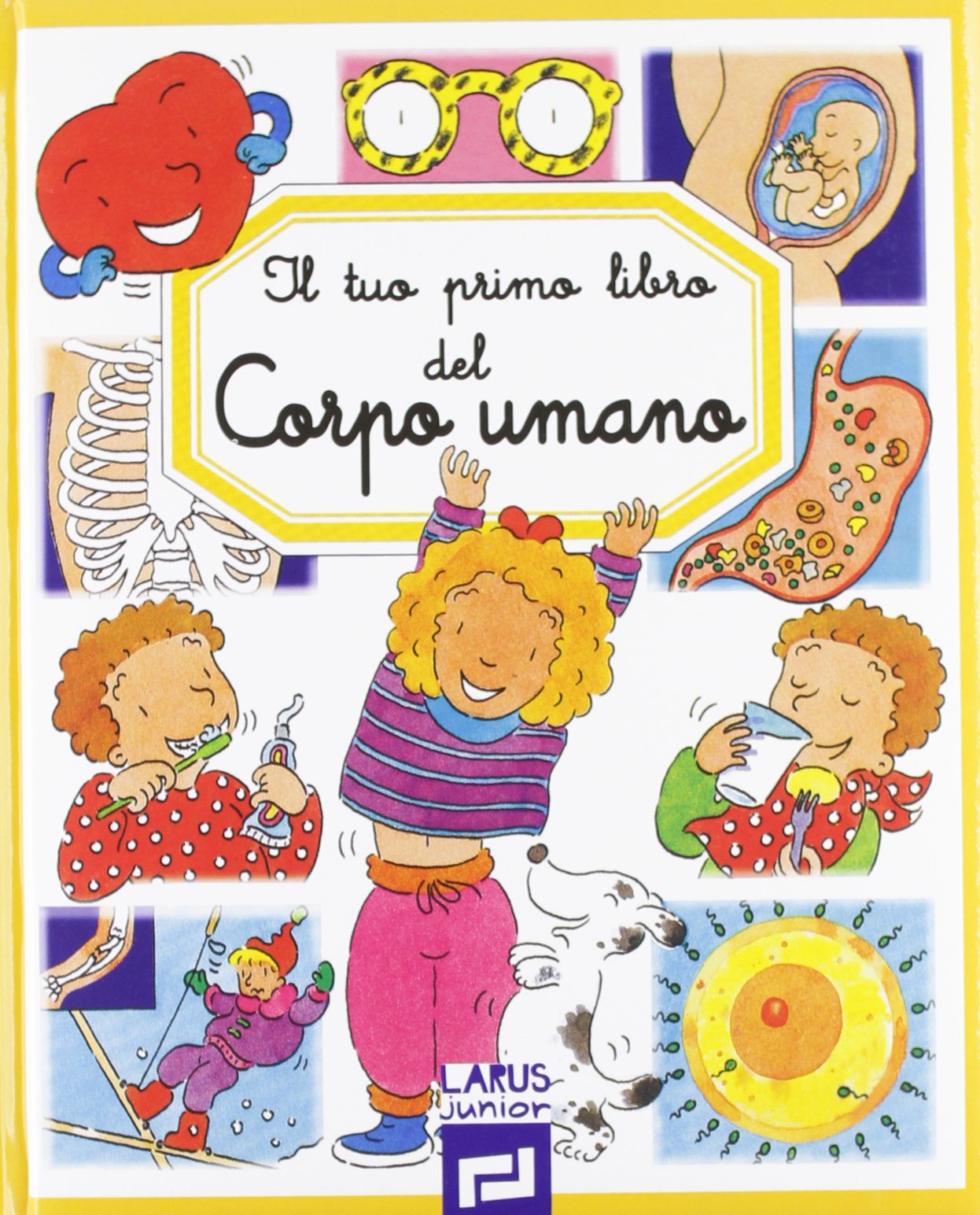 Il tuo primo libro del corpo umano. Ediz. illustrata Children's books