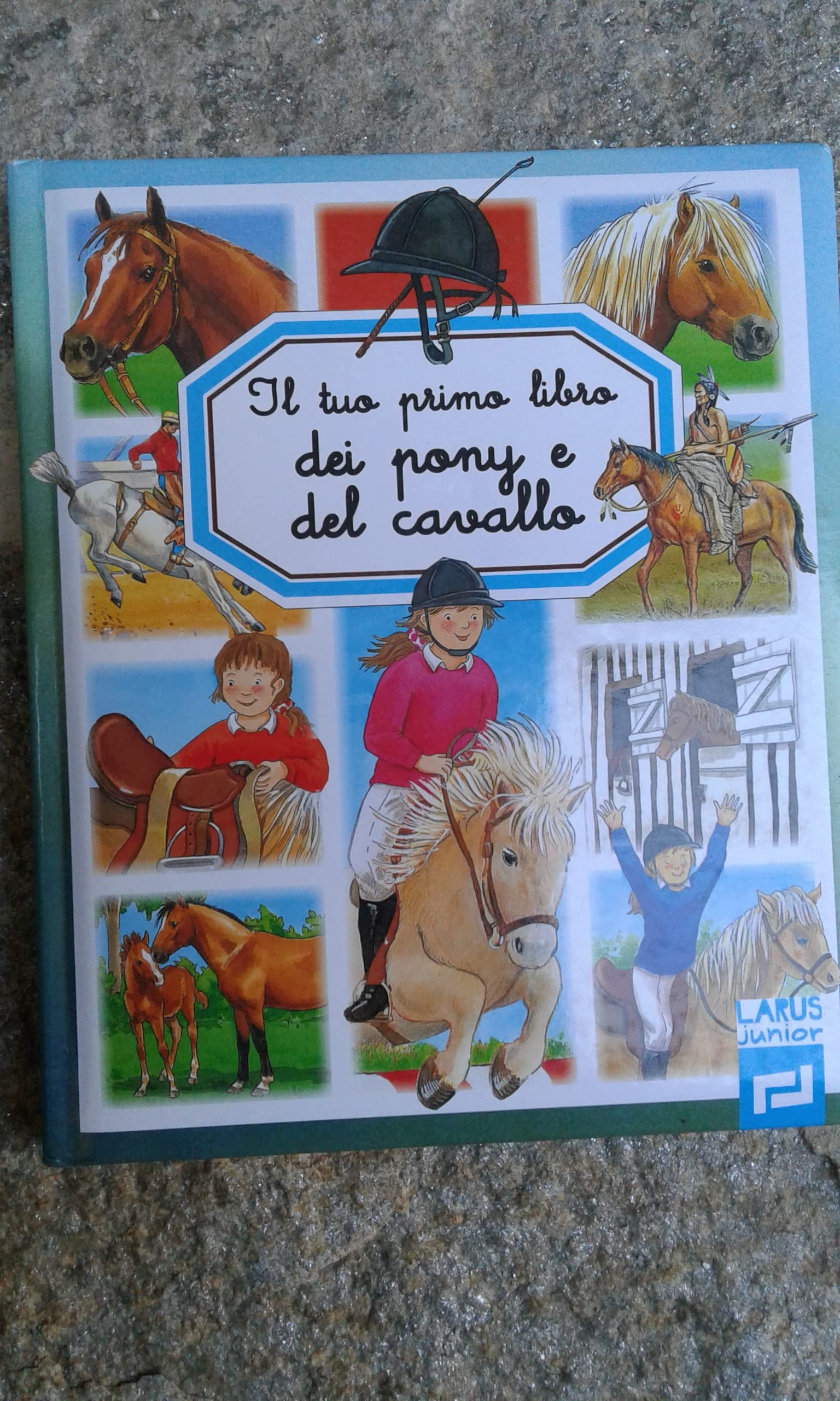 Il tuo primo libro dei pony e del cavallo book