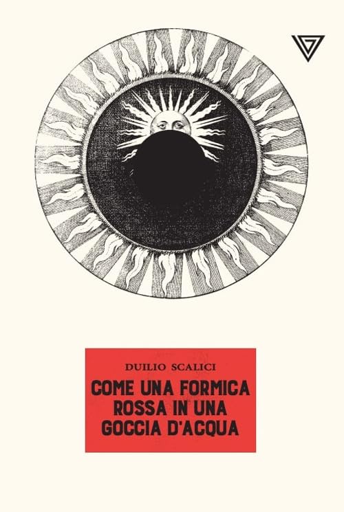 Come una formica rossa in una goccia d'acqua Contemporary literature