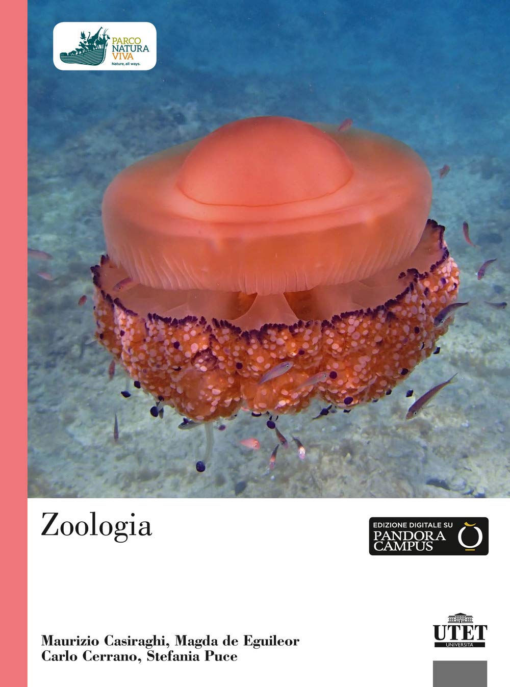 Zoologia book