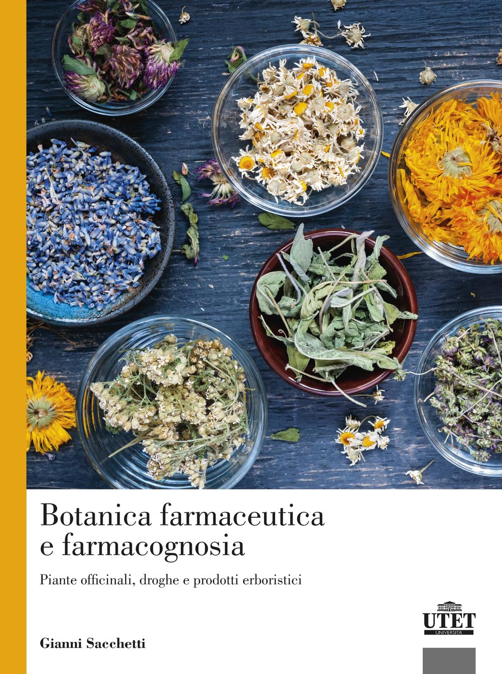 Botanica farmaceutica e farmacognosia. Piante officinali, droghe e prodotti erboristici book