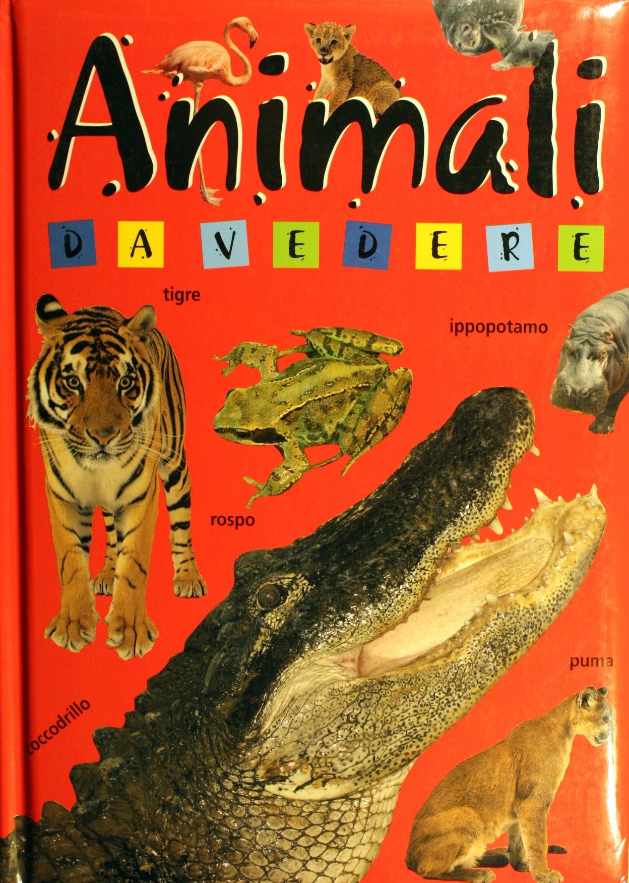 Animali da vedere. Ediz. illustrata (Libri sugli animali) Non-fiction