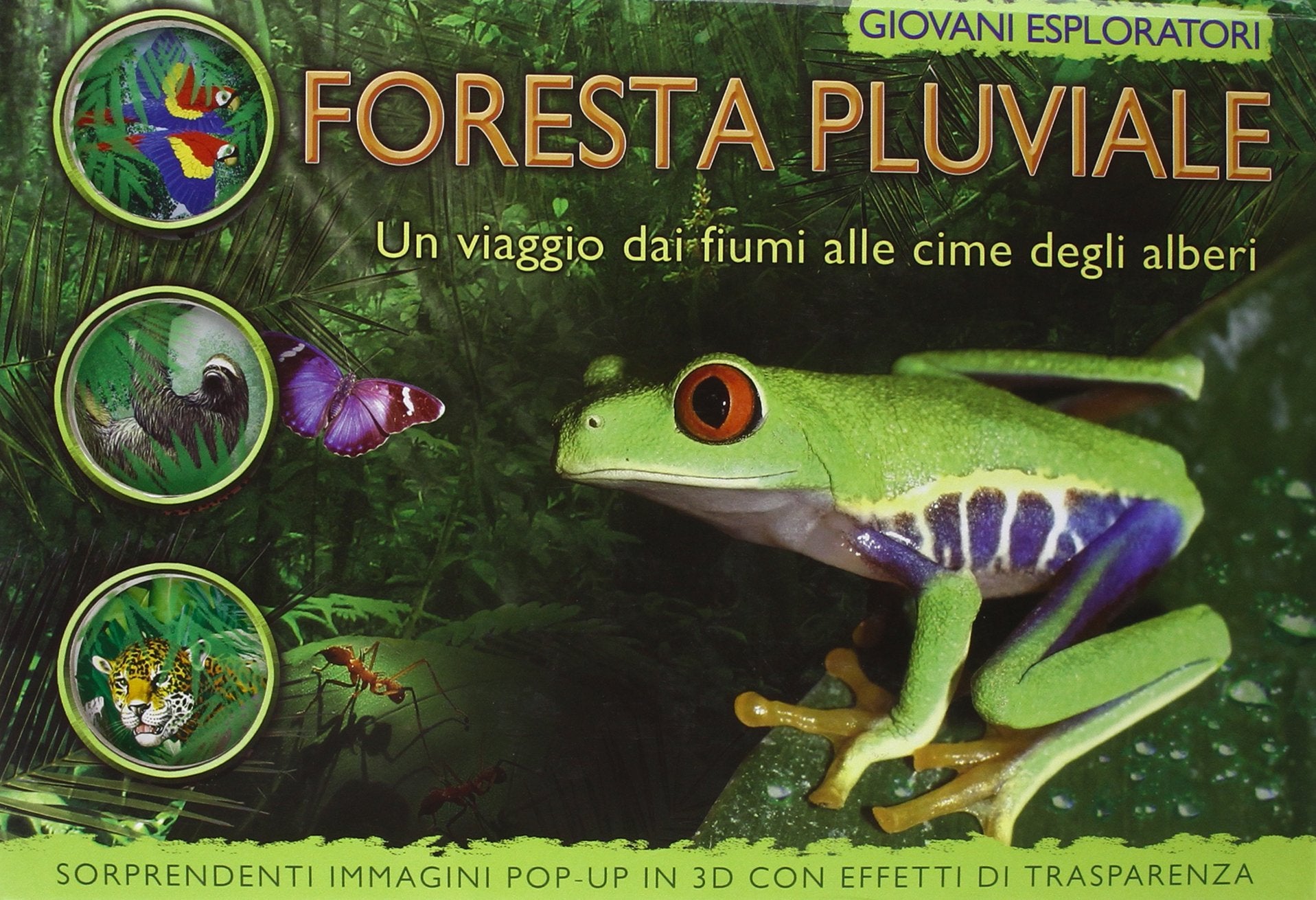 La foresta pluviale. Un viaggio dai fiume alle cime degli alberi. Ediz. illustrata book