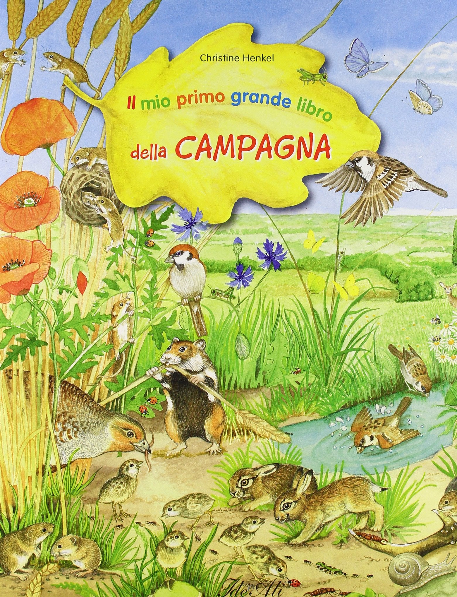 Il mio primo grande libro della campagna. Ediz. illustrata book