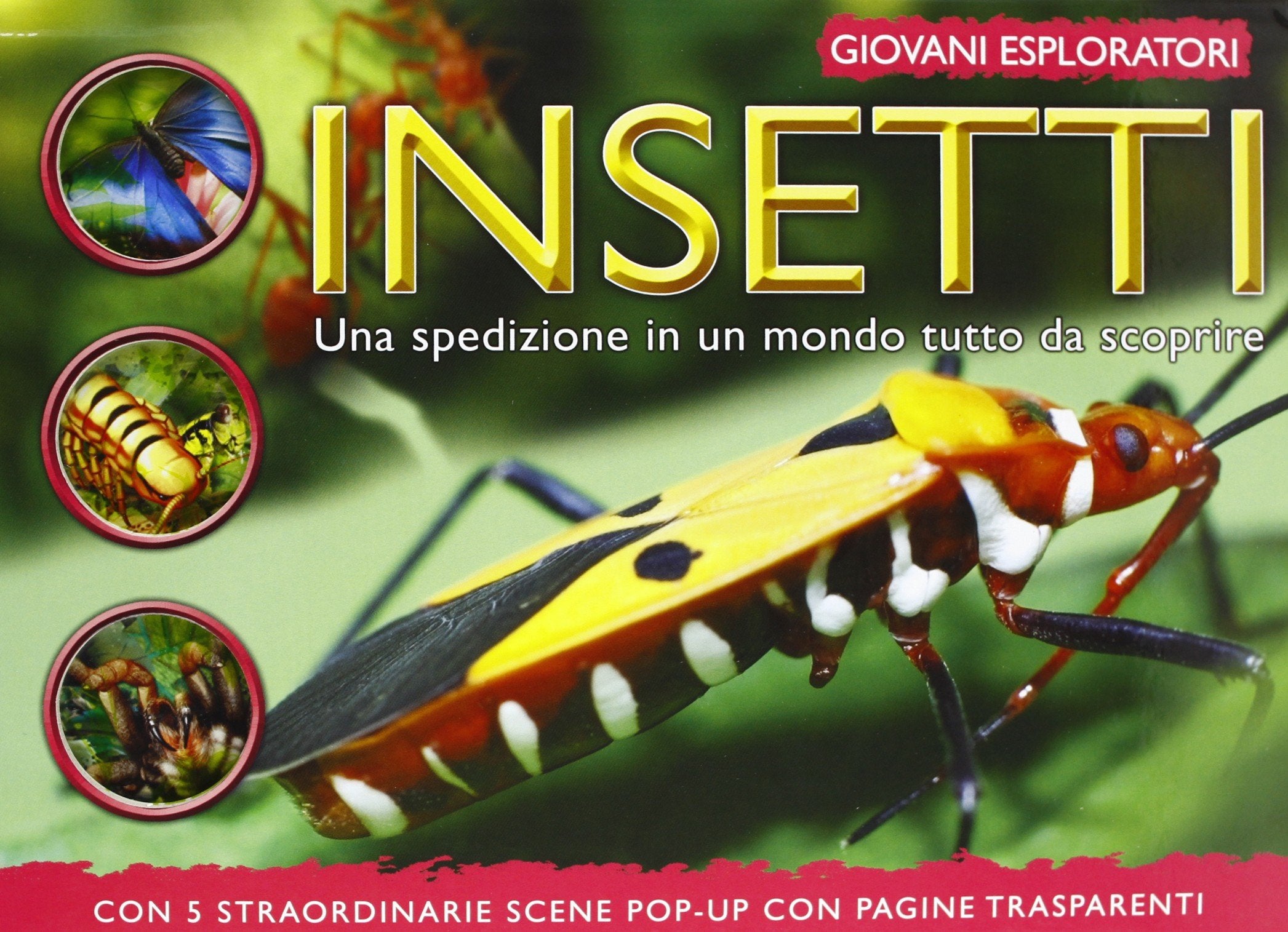 Insetti. Una spedizione in un mondo tutto da scoprire. Ediz. illustrata book