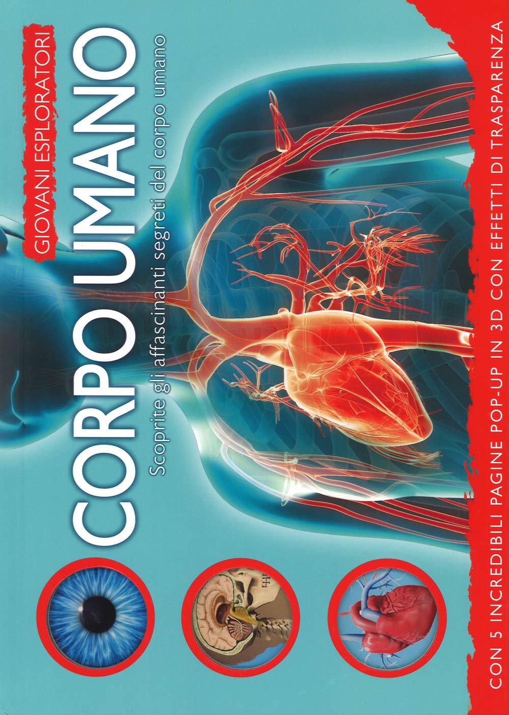 Corpo umano. Scoprite gli affascinanti segreti del corpo umano. Ediz. illustrata book
