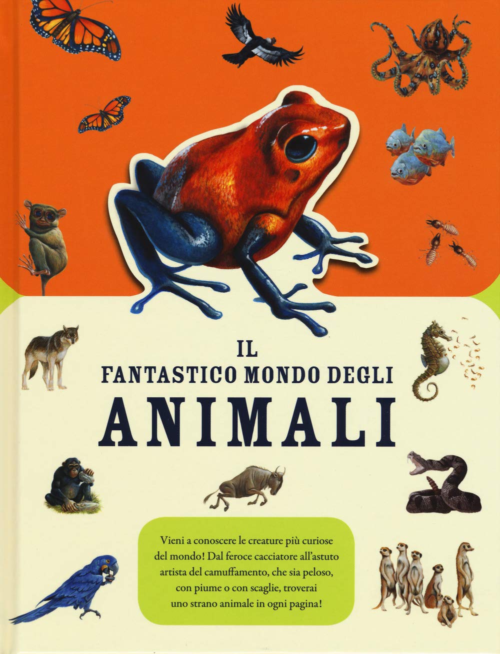Il fantastico mondo degli animali. Ediz. a colori book