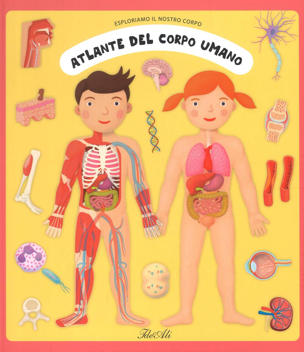 Atlante del corpo umano. Esploriamo il nostro corpo Non-fiction