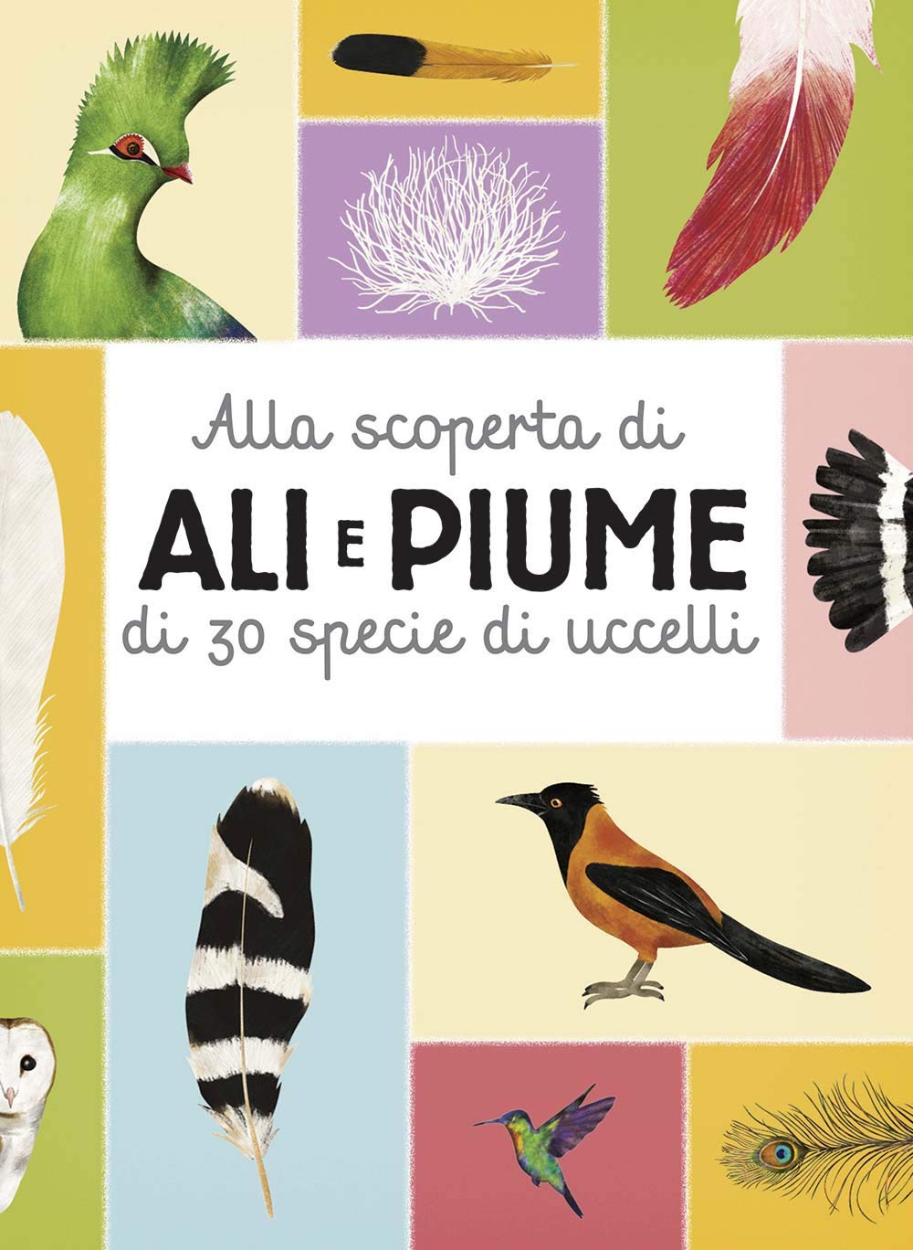 Alla scoperta di ali e piume di 30 specie di uccelli book