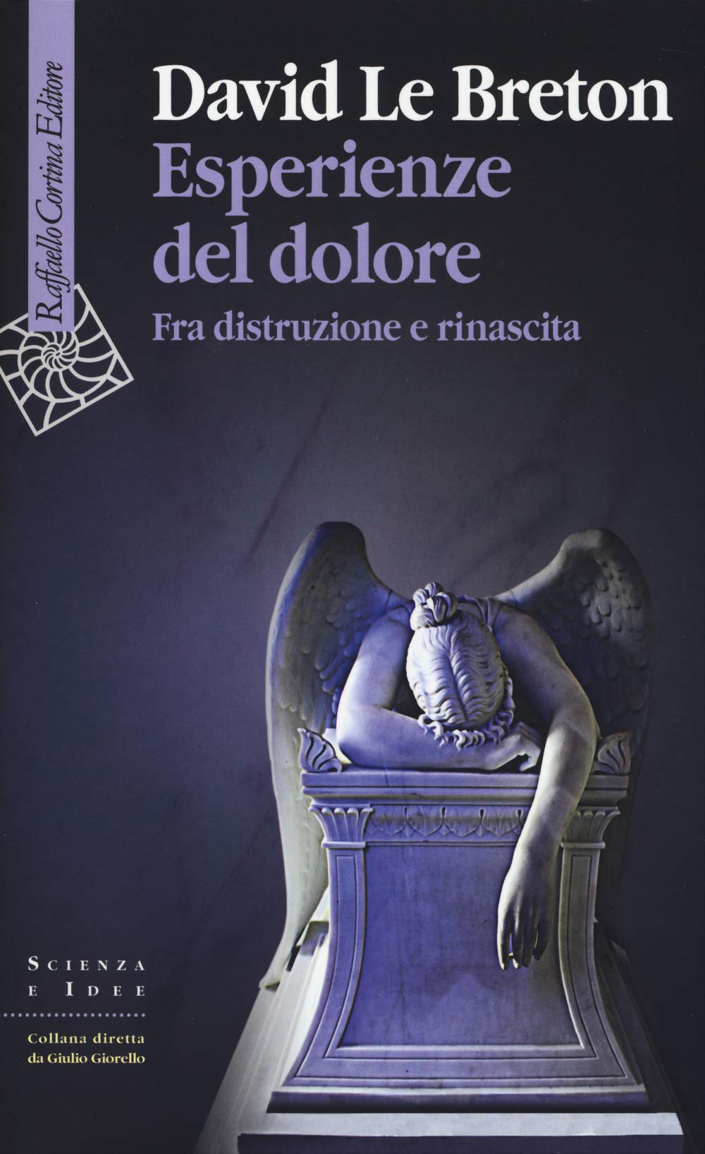 Esperienze del dolore. Fra distruzione e rinascita book