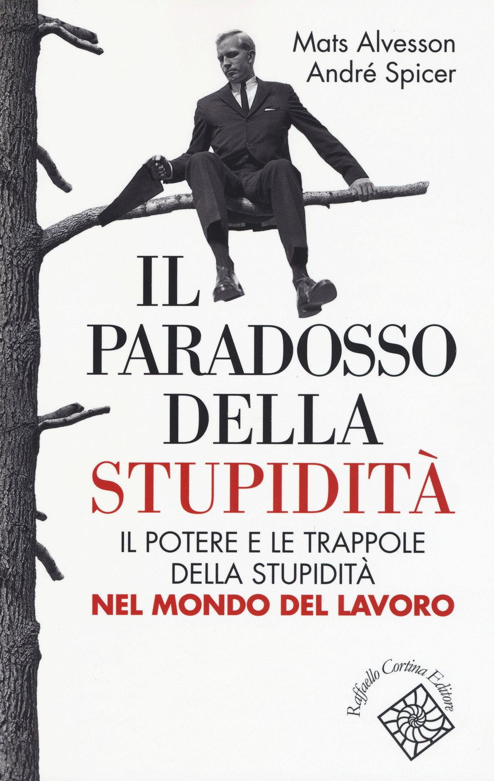Il paradosso della stupidità. Il potere e le trappole della stupidità nel mondo del lavoro Business, Finance & Career