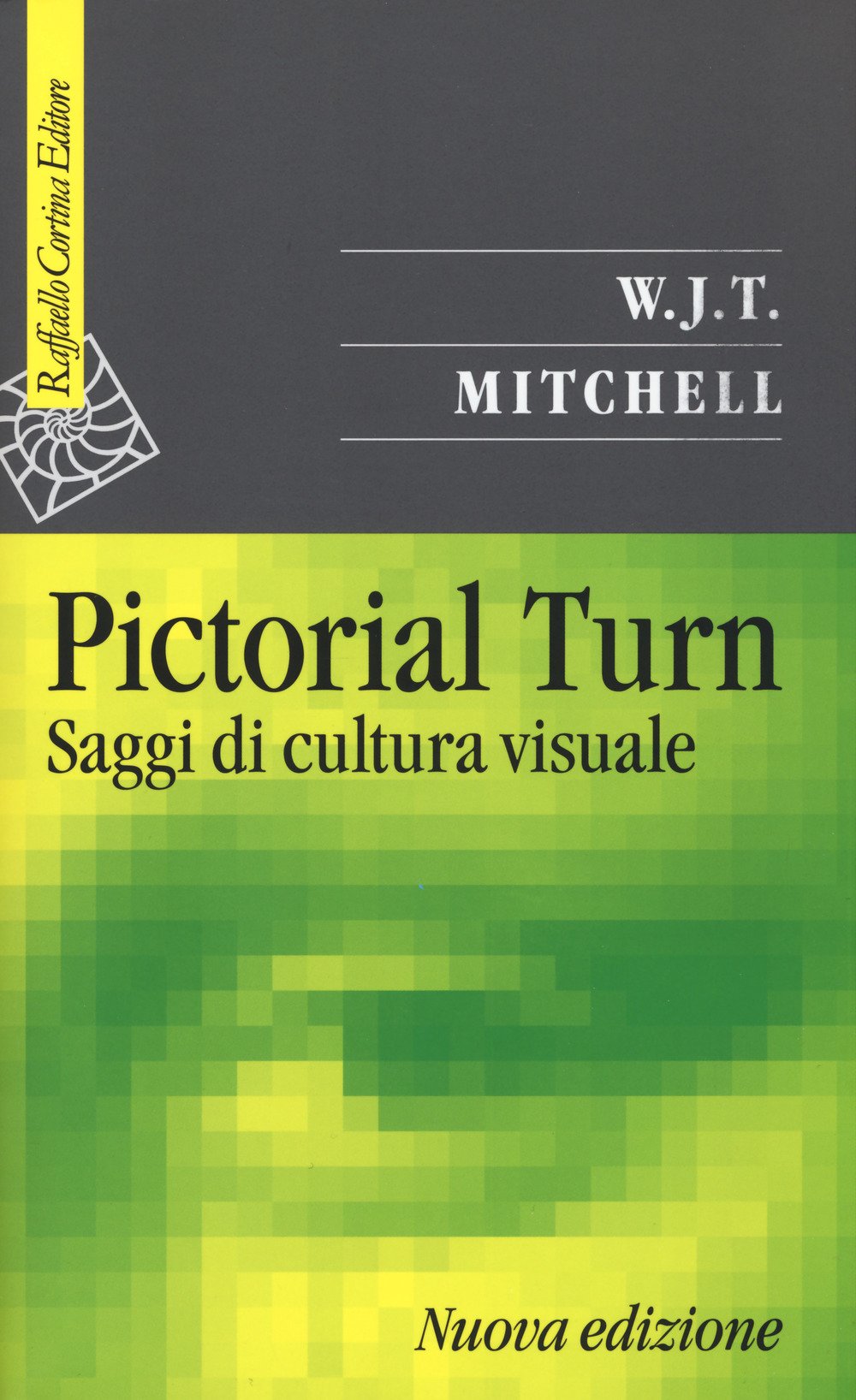 Pictorial turn. Saggi di cultura visuale Books