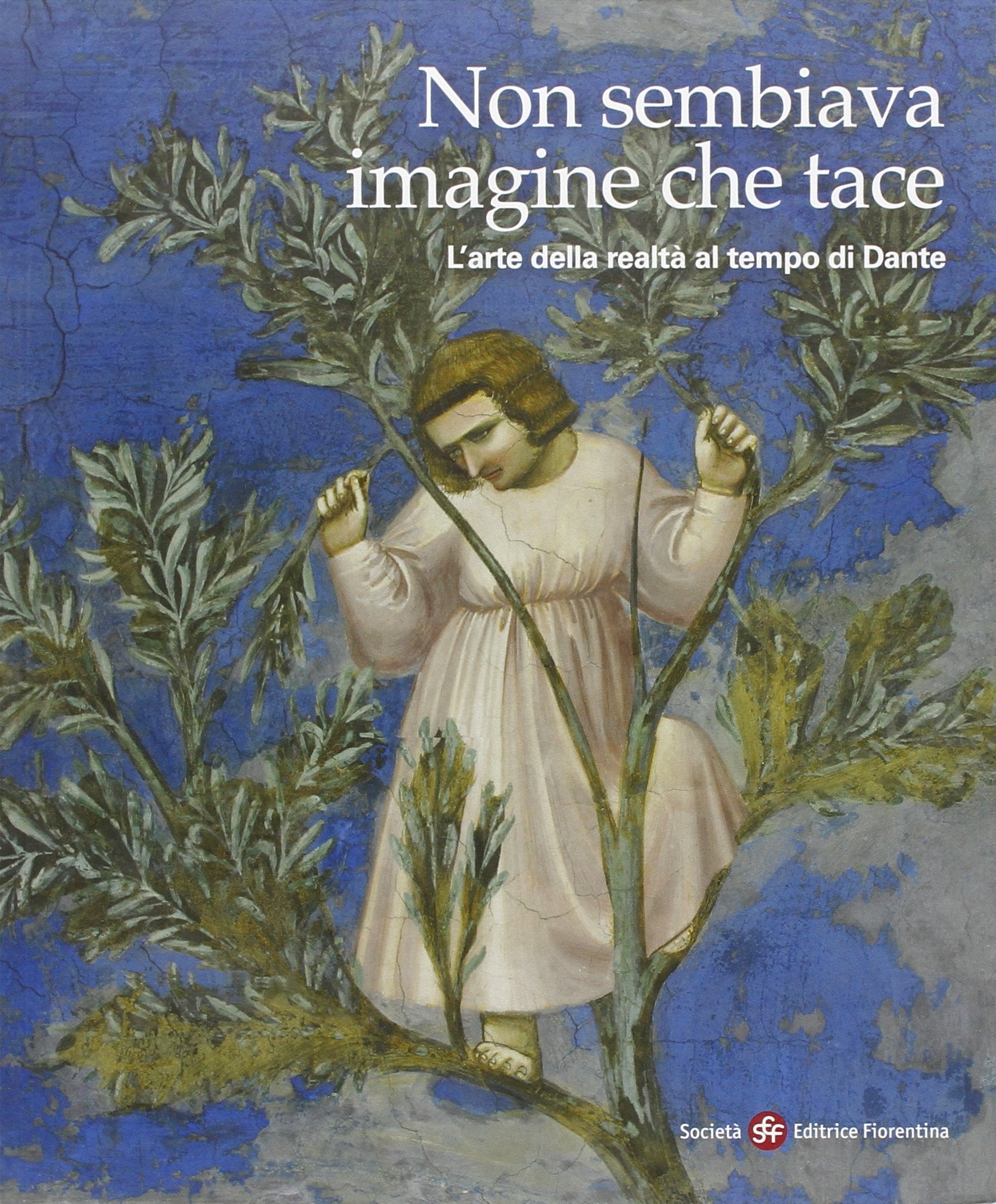 Non sembiava imagine che tace. L'arte della realtà nel tempo di Dante book