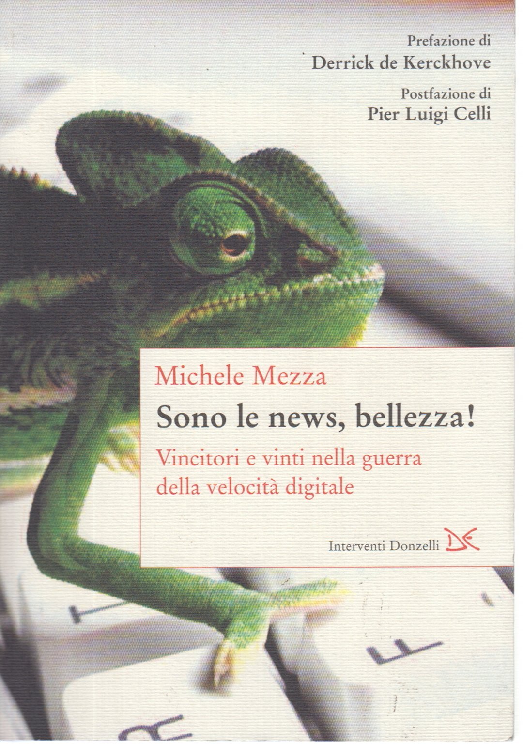 Sono le news, bellezza! Vincitori e vinti nella guerra della velocità digitale book