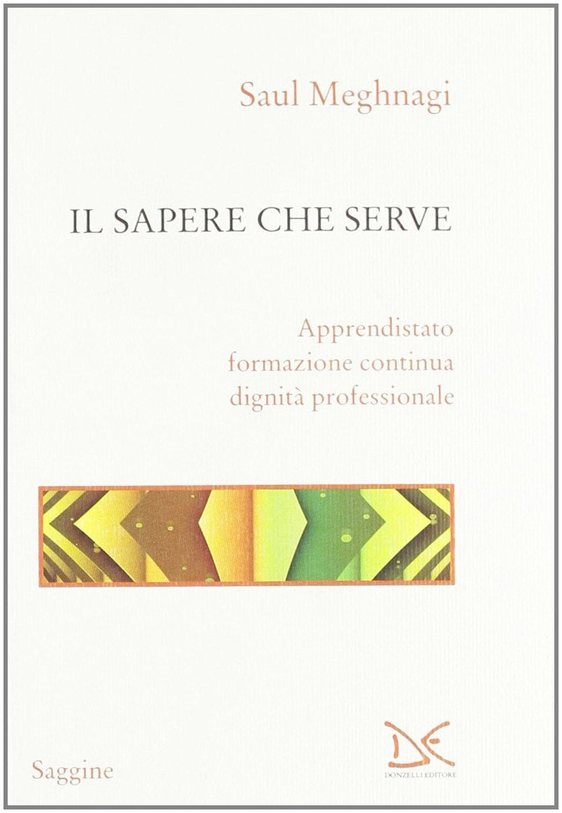Il sapere che serve. Apprendistato, formazione continua, dignità professionale book