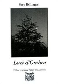 Luci d'ombra (Le schegge d'oro (i libri dei premi)) Poetry