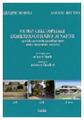 Storia dell'Ospedale Domenico Cotugno di Napoli (Strumenti e ricerche) Medicine