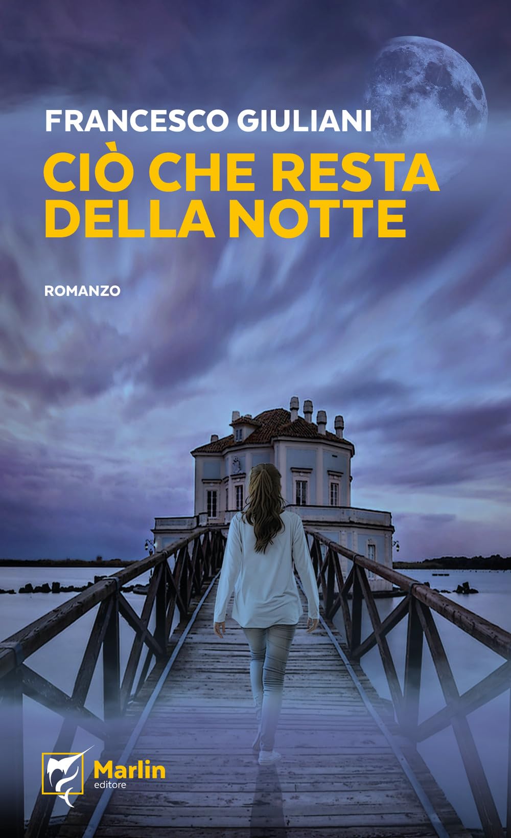 Ciò che resta della notte Contemporary literature Books