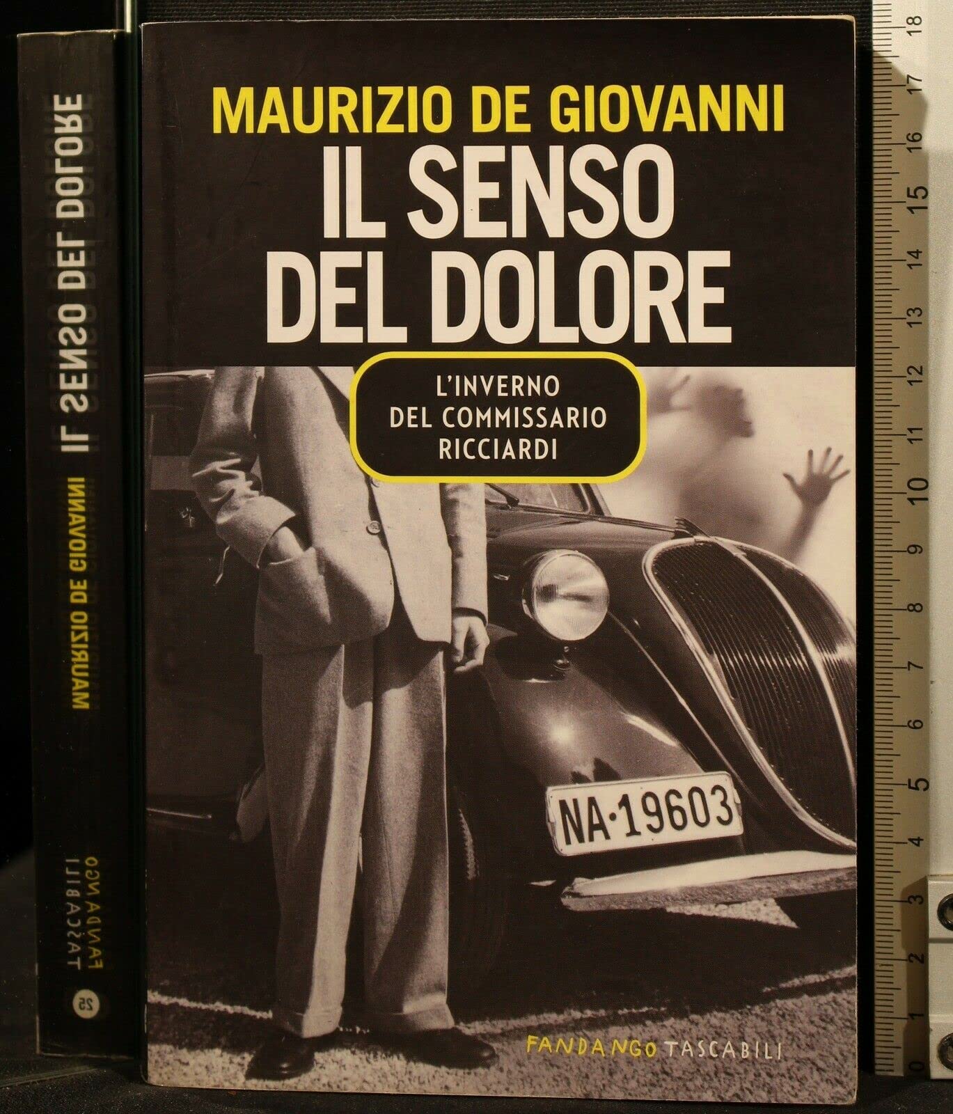 Il senso del dolore. L'inverno del commissario Ricciardi (Fandango tascabili) Historical Fiction