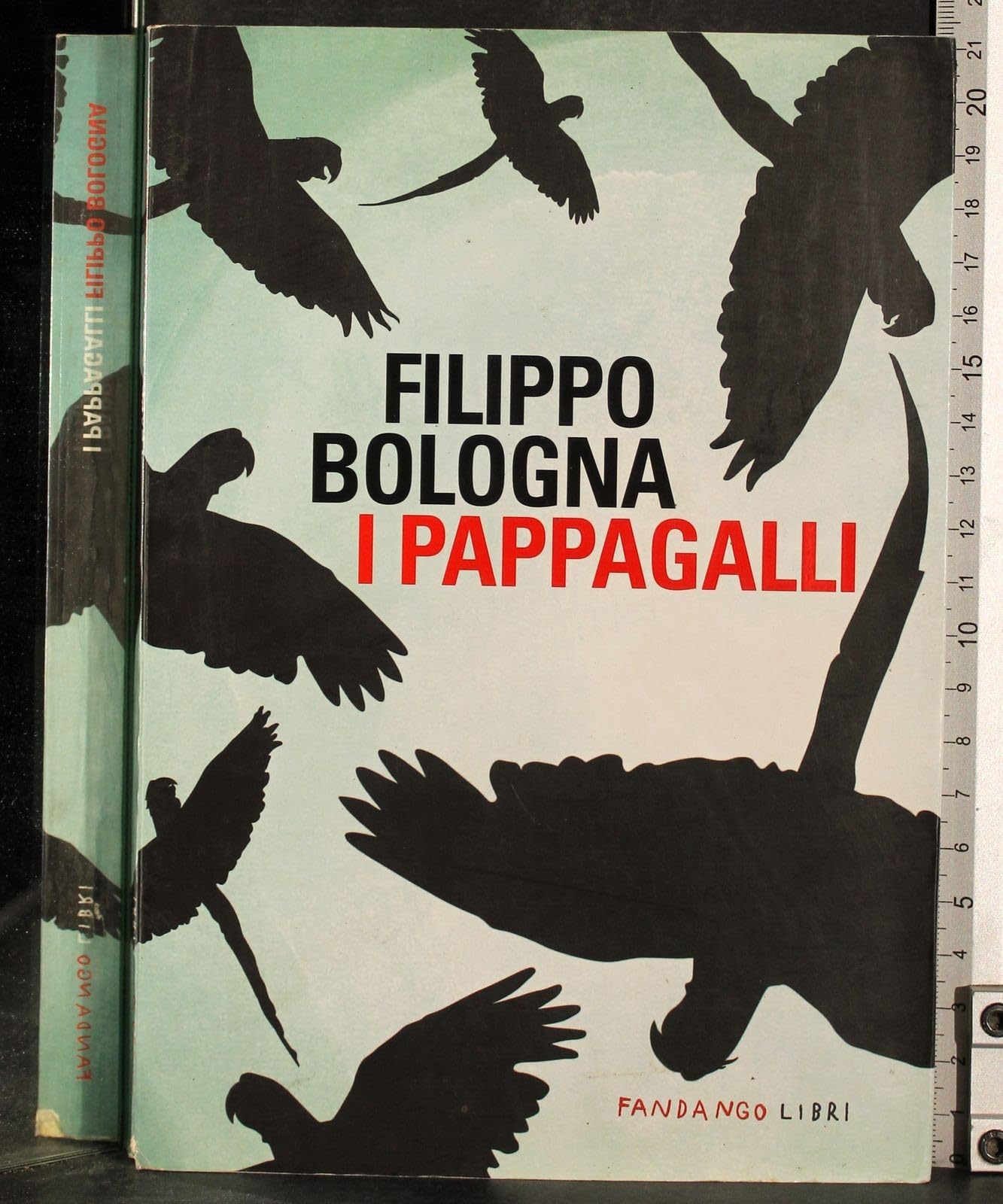 I pappagalli Contemporary literature