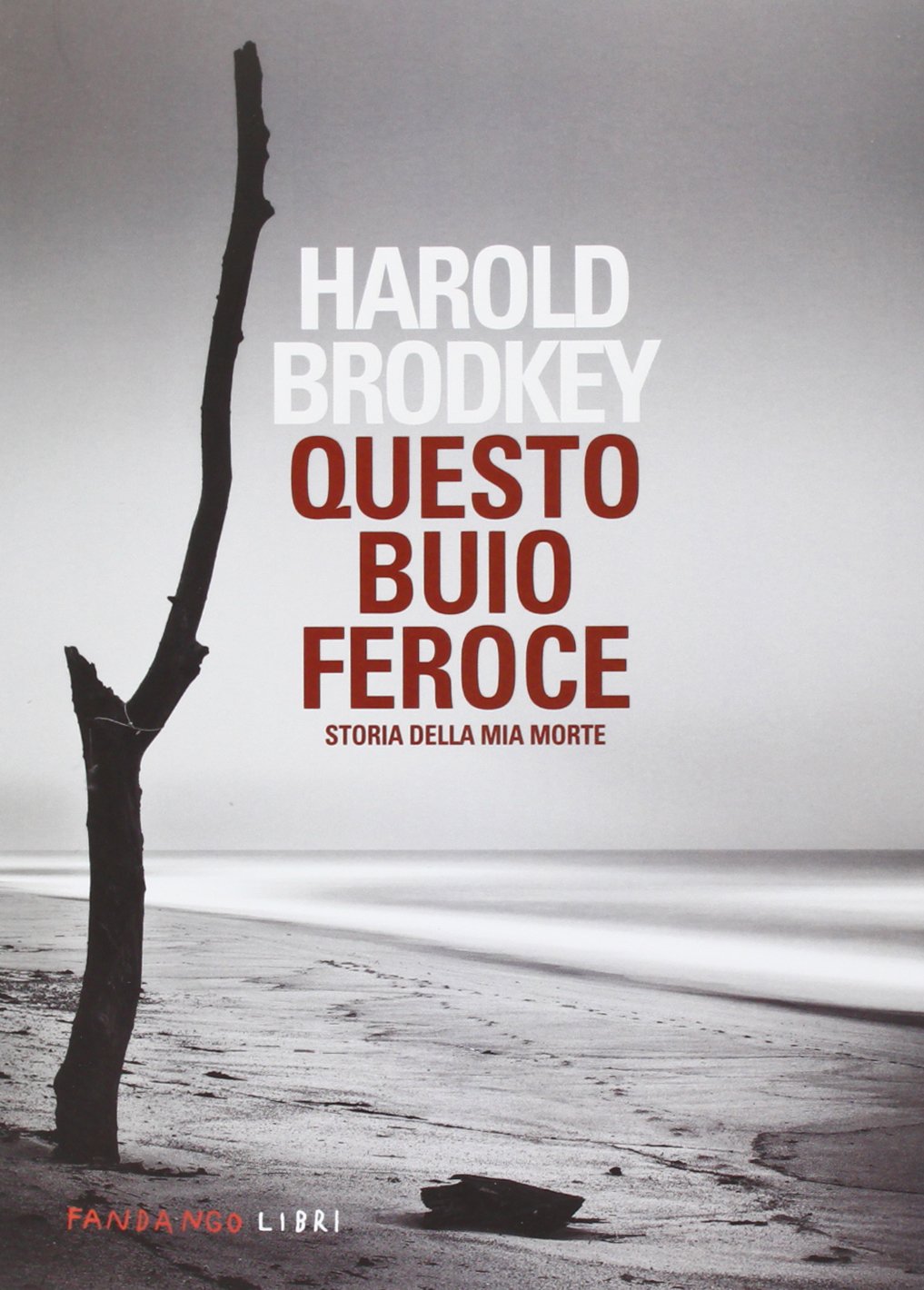 Questo buio feroce. Storia della mia morte Contemporary literature