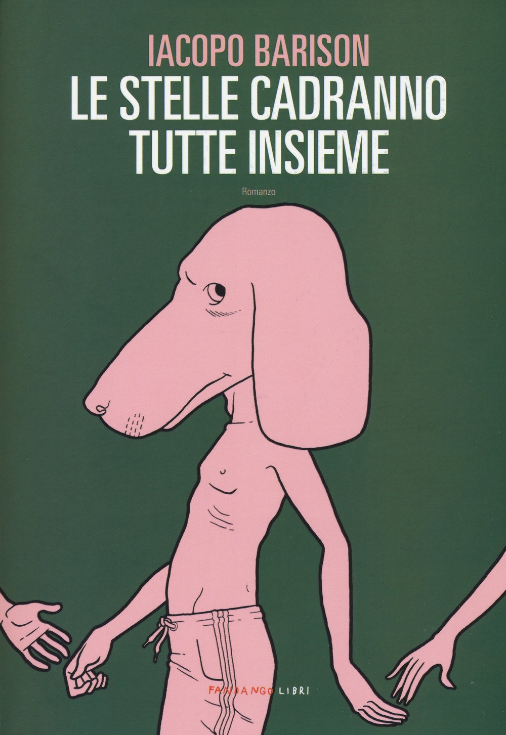 Le stelle cadranno tutte insieme Contemporary literature