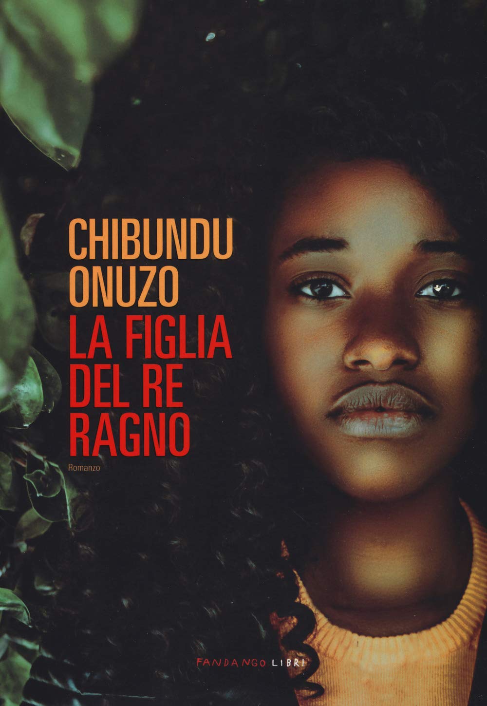 La figlia del re ragno book