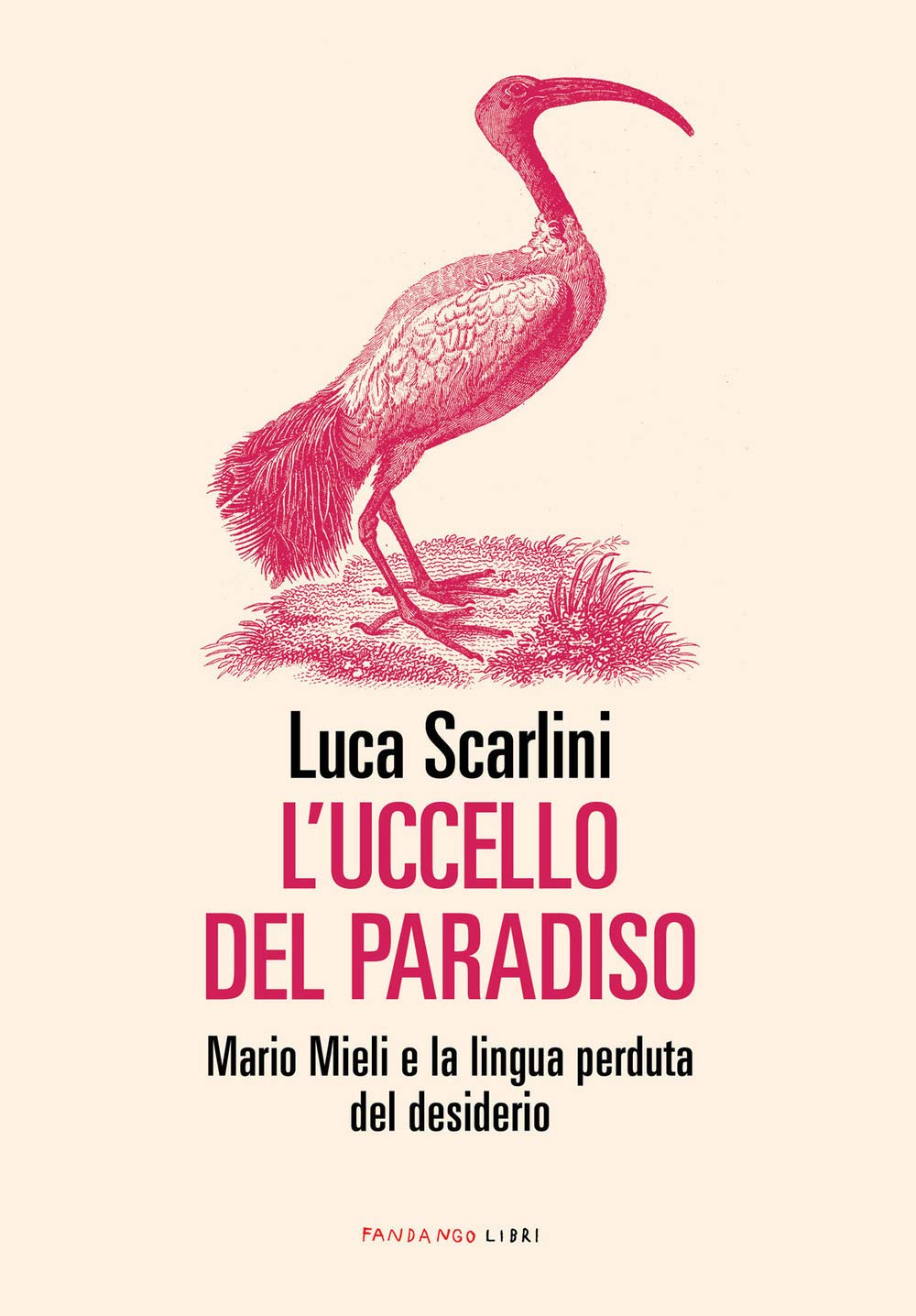L'uccello del paradiso. Mario Mieli e la lingua perduta del desiderio book
