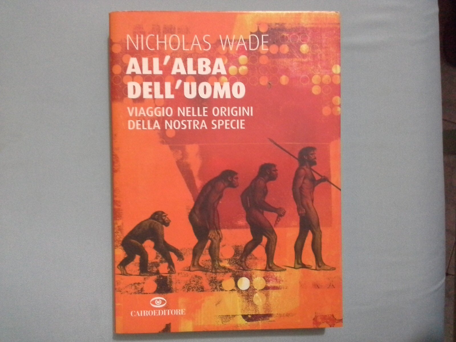 All'alba dell'uomo. Viaggio nelle origini della nostra specie (Saggi) Business & Technology