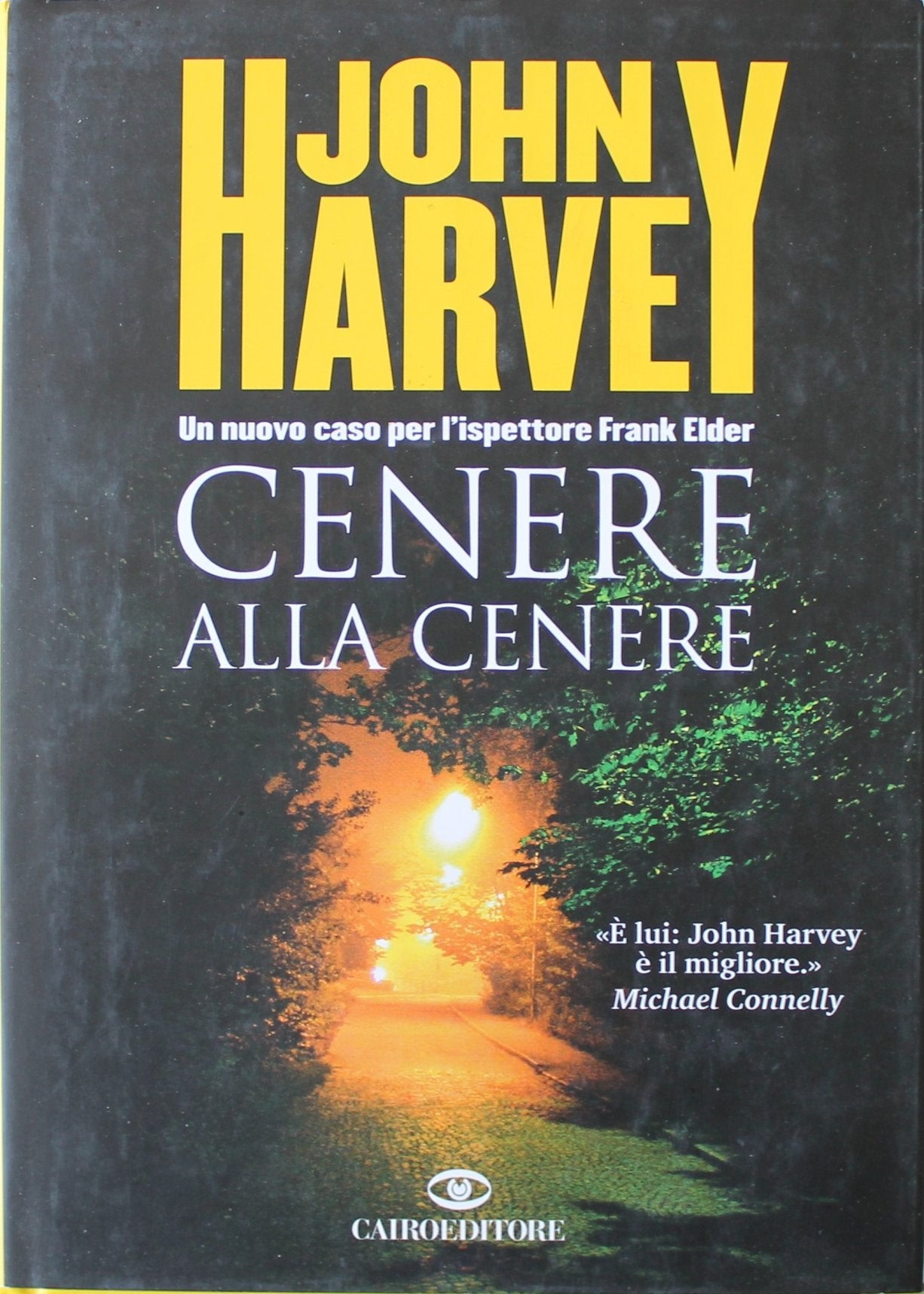 Cenere alla cenere (Scrittori stranieri) Contemporary literature