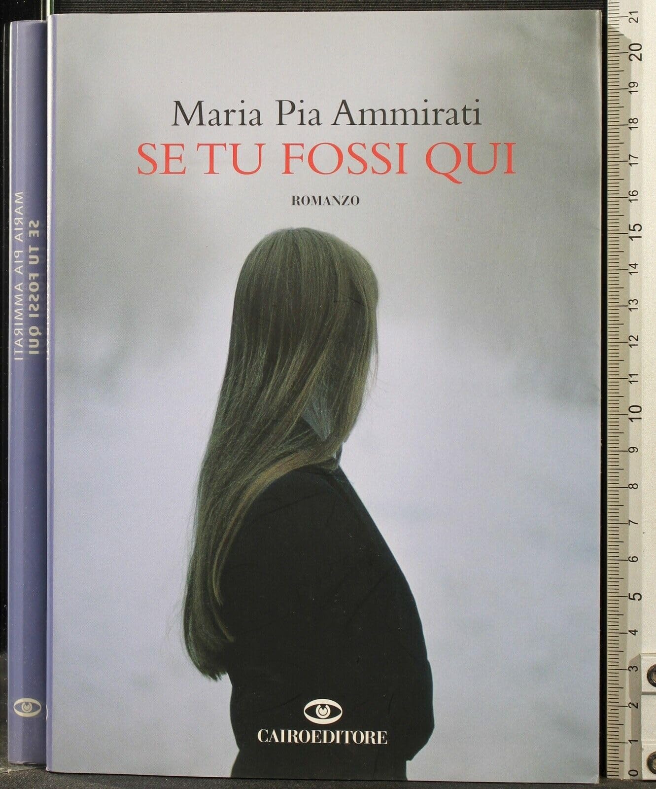 Se tu fossi qui book